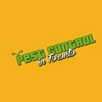 Pest Control In Toronto Toronto (647)499-3714